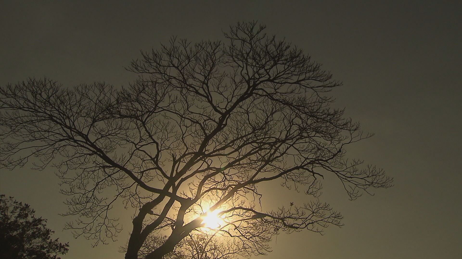 DF bate recorde de dia mais quente do ano, com 34,7 C; umidade cai a 14%