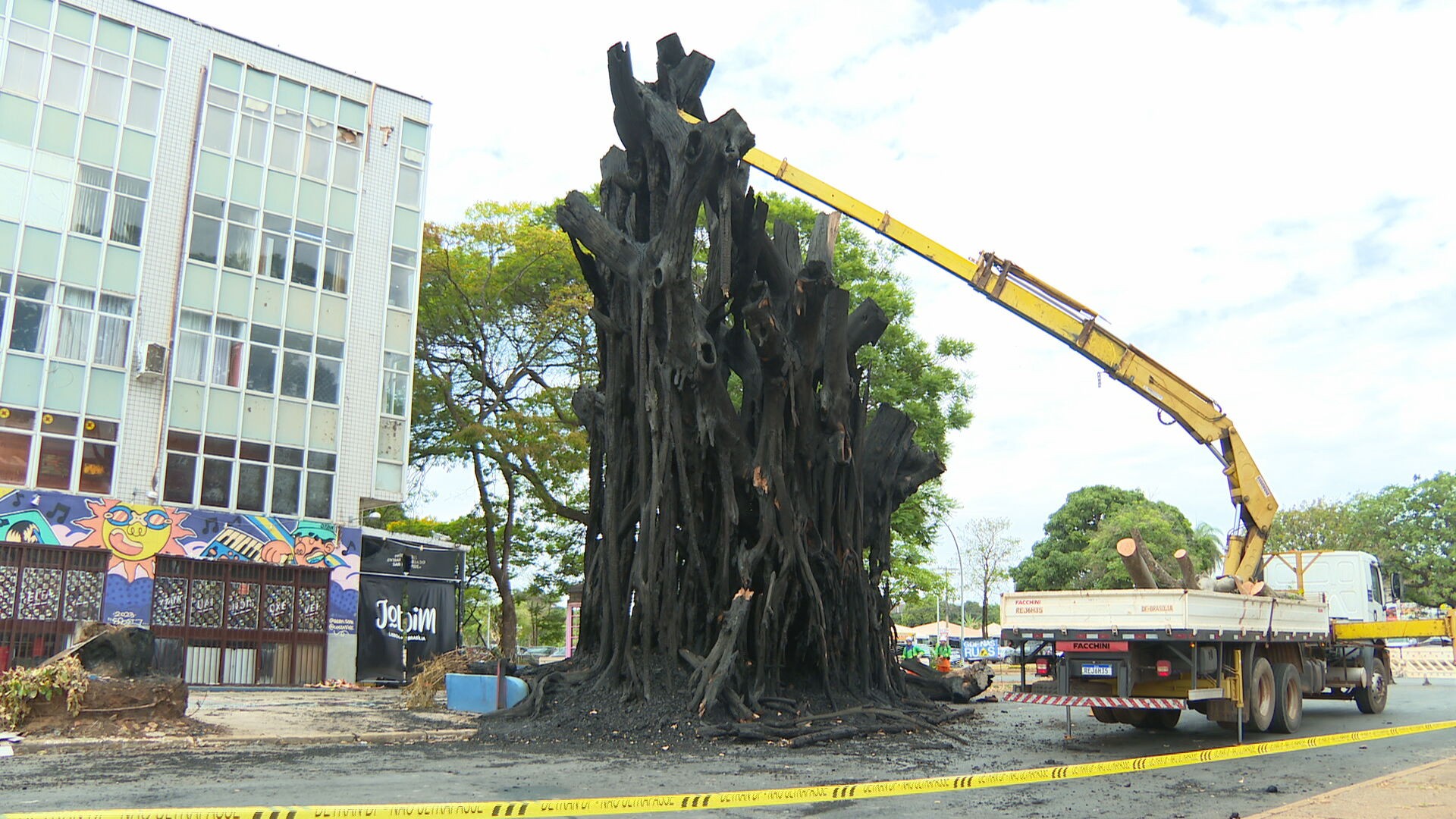 Advogado de 37 anos diz que ateou fogo em gameleira histórica do DF como uma ‘brincadeira infeliz’
