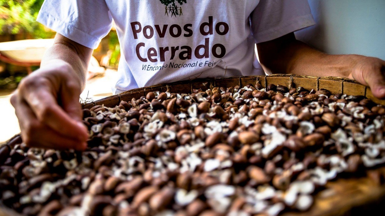 Cerrado invisível: quem são os povos tradicionais que protegem o bioma mais desmatado do Brasil