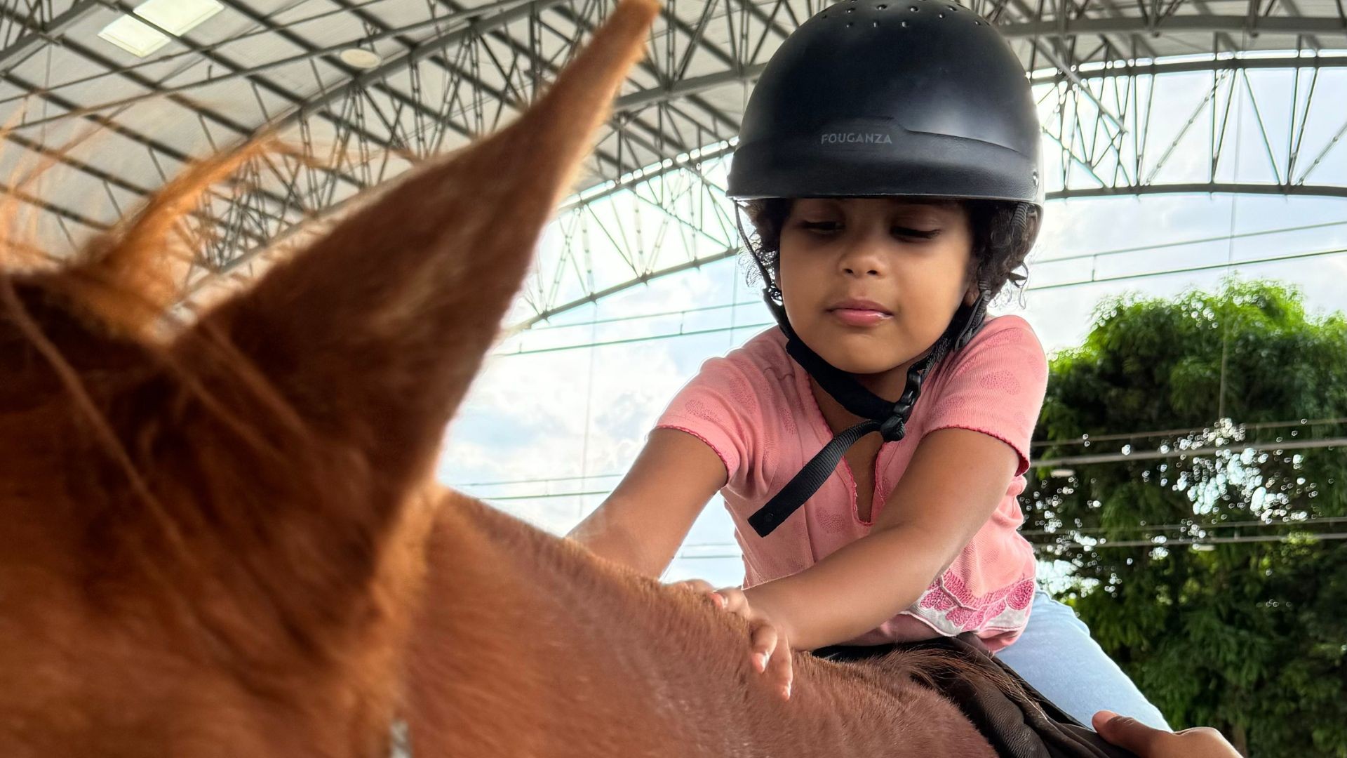 Projeto de equoterapia atende crianças e adolescentes com deficiência no DF; veja imagens