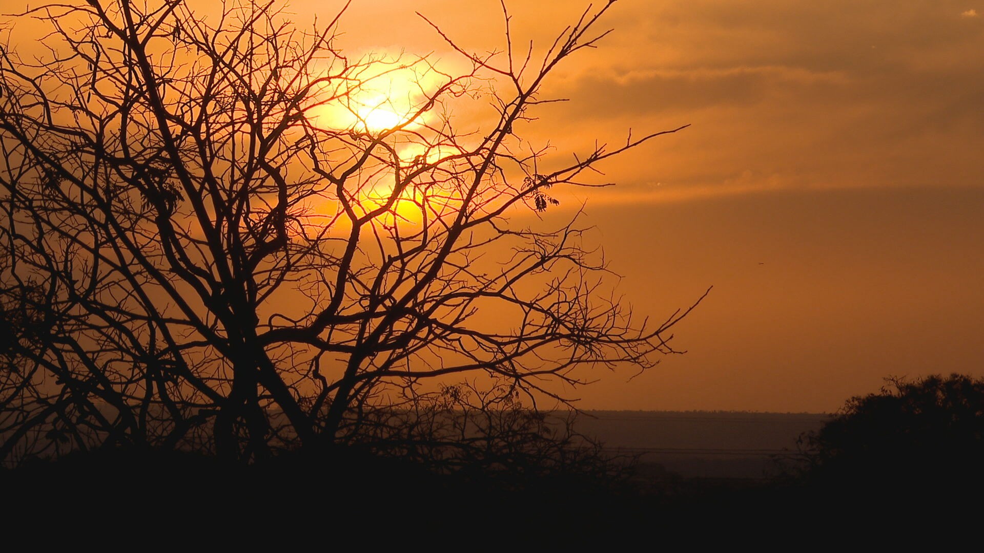 Seca e calorão: DF atinge umidade relativa do ar de 8% e temperatura de 33,7 C nesta terça