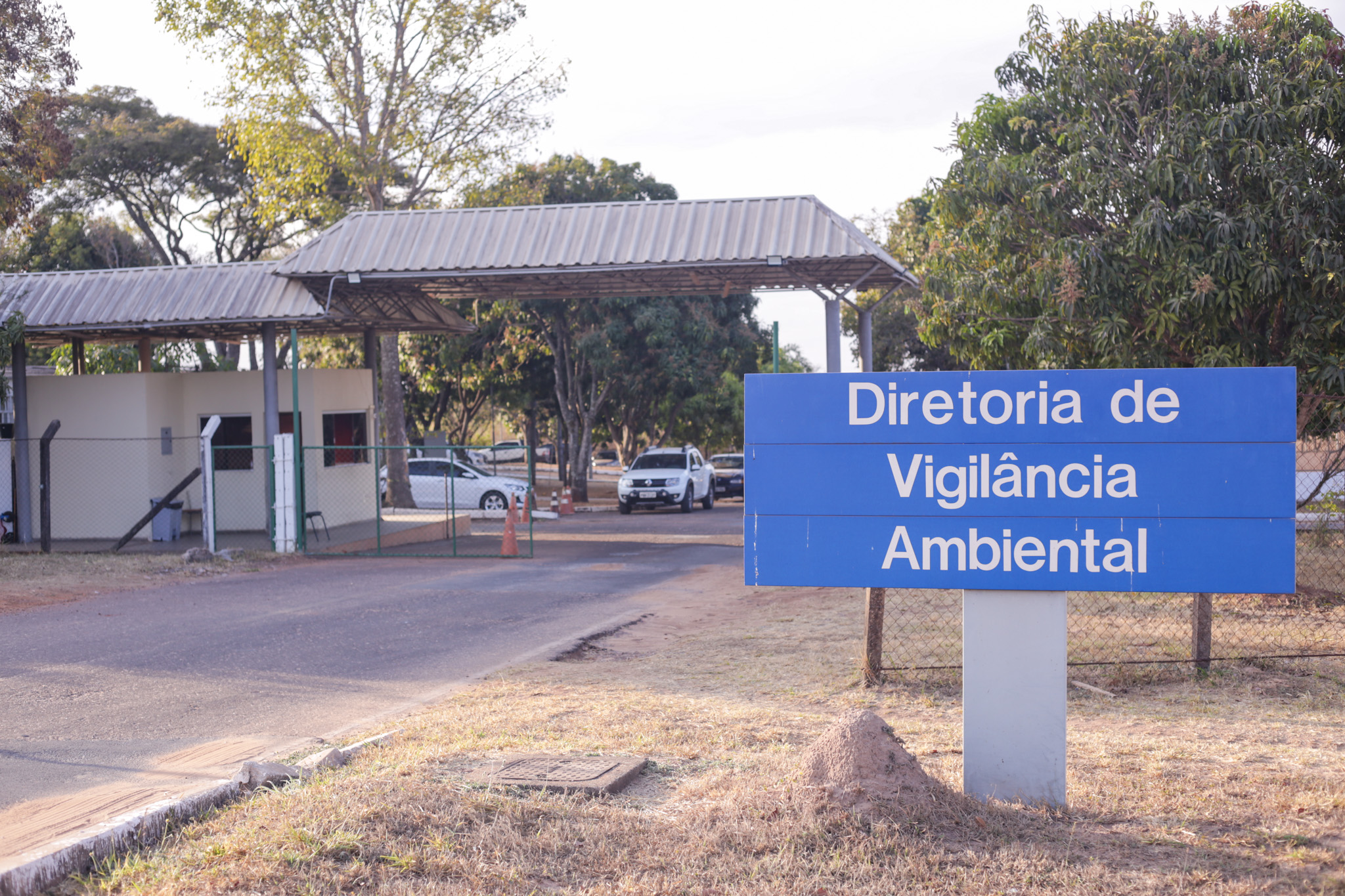 Unidade de atendimento de zoonoses do Distrito Federal é referência para cuidar de bichos com doenças que podem ser transmitidas aos humanos