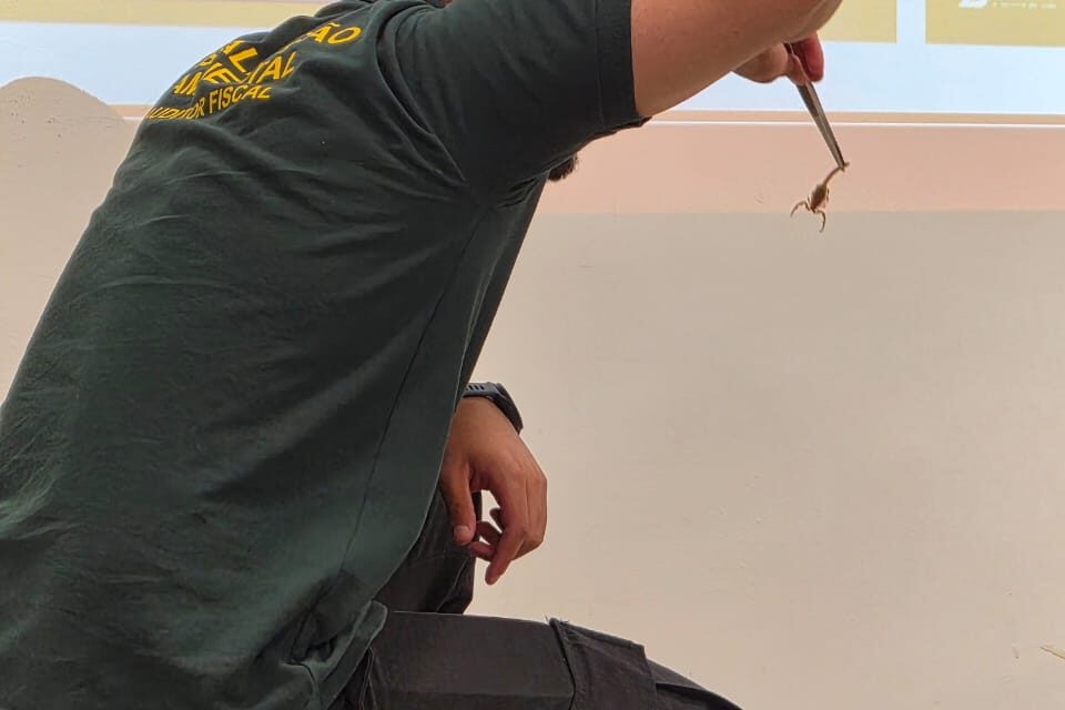 Fiscais do Brasília Ambiental participam de capacitação para o manejo de animais silvestres