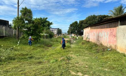 Parceria intensifica a roçagem de terrenos e garante ações permanentes de cuidado em Ceilândia